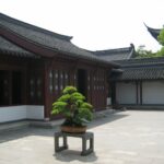 1365-1024 (1)
